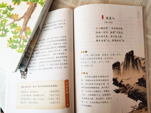 飞花令里读诗词（全10册） 赠考题锦集+艾宾浩斯曲线学习法+诗词字帖  扫码听音频 700余首诗词涵盖201首小学教材诗 商品图13