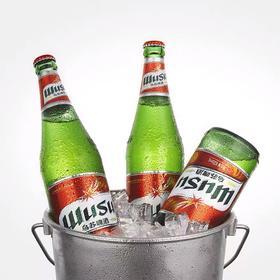 9瓶装新疆乌苏啤酒/件