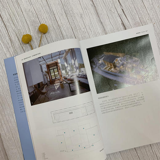 建筑师的乡村设计 乡村建筑保护与改造 南雪倩 乡村振兴书籍 乡村建筑发展历史现状及改造策略 乡村建筑改造休闲农庄生态园建设书 商品图2