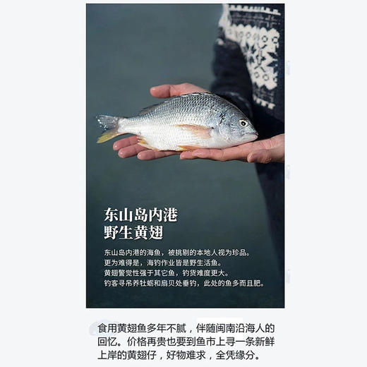 【野生】超低温 黄翅鱼（深海海钓）250-500g/条 商品图2