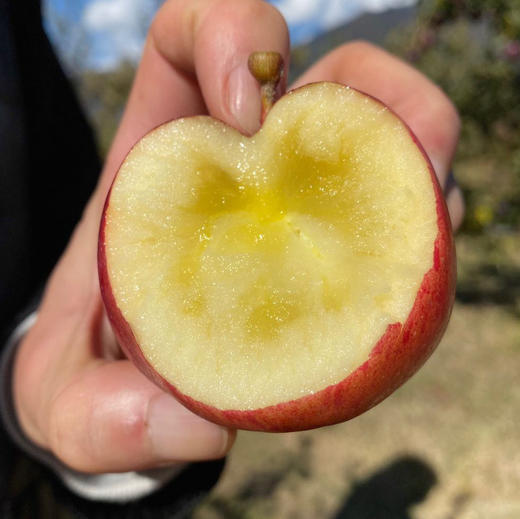 西藏林芝高原典雅紫红色苹果(12枚 4.5-5斤礼盒装)