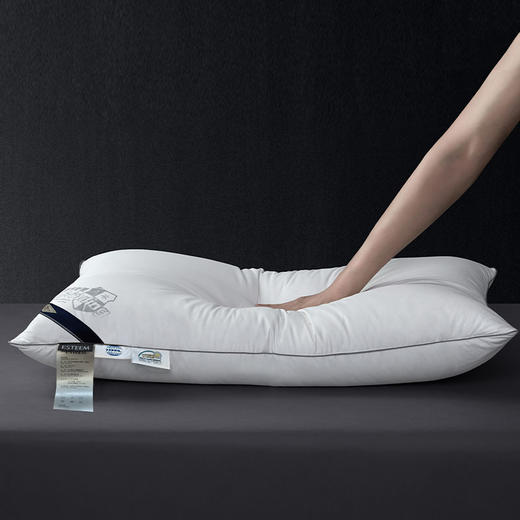 拒污95白鹅绒支撑枕 商品图1