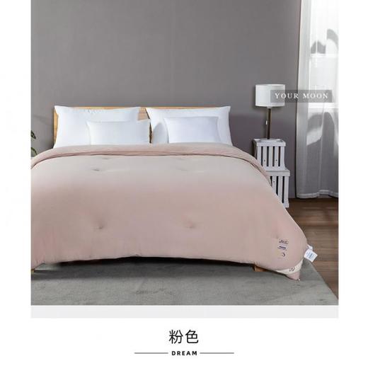 远梦婴柔呼吸棉冬被 商品图4