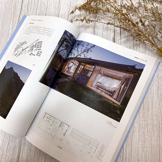 建筑师的乡村设计 乡村建筑保护与改造 南雪倩 乡村振兴书籍 乡村建筑发展历史现状及改造策略 乡村建筑改造休闲农庄生态园建设书 商品图4