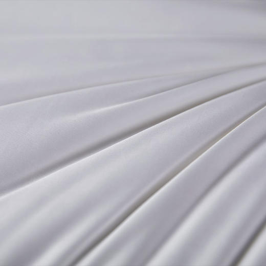 拒污95白鹅绒支撑枕 商品图2