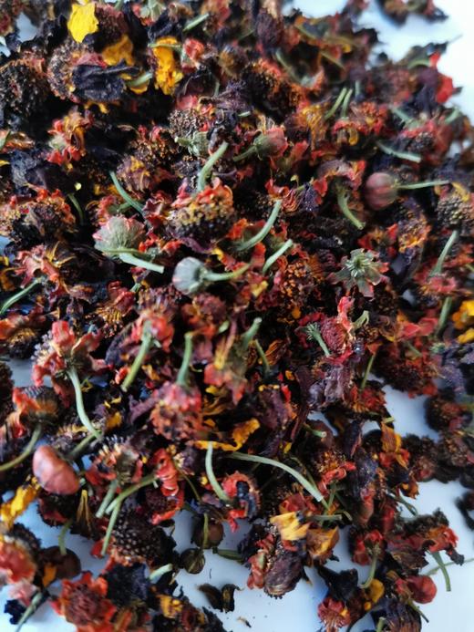 帕米尔高原 红雪菊【下单1罐就送有机枸杞中果1罐】 商品图3