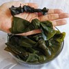东山岛野生无沙无杂质干海带结（80g*3袋） 商品缩略图0
