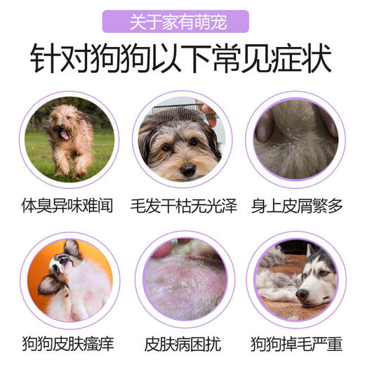 【专注狗狗健康，洗完超干净】专为狗狗研发，sha菌除螨无异味，狗狗专用沐浴露 商品图2