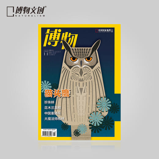 博物杂志2020年11月刊  商品图0