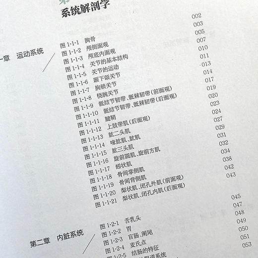 零基础绘图学解剖 隋鸿锦 于胜波 主编9787117303309人民卫生出版社 商品图3