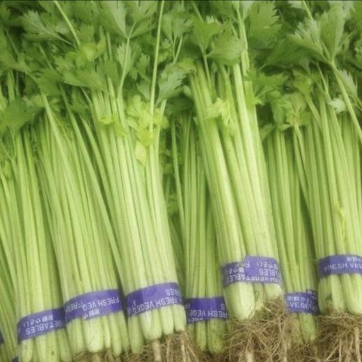 麦芹每公斤 商品图0