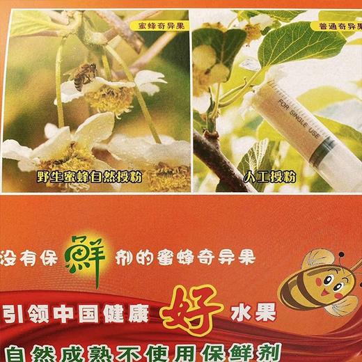 【蜜蜂奇异果】6粒 12粒 18粒  多规格任选蜜蜂授粉，口感惊艳 商品图4