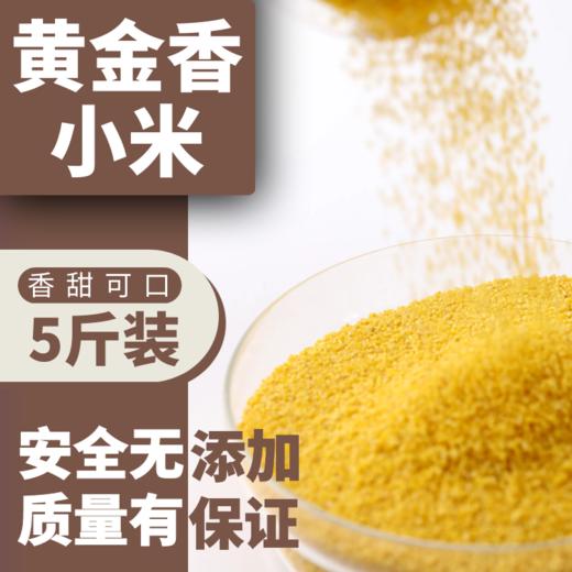 黄金香小米 商品图1