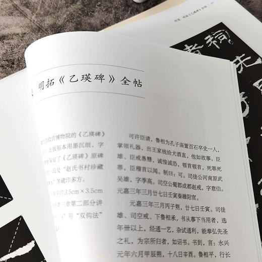 《毛笔书法入门教程——零基础学隶书》 商品图1