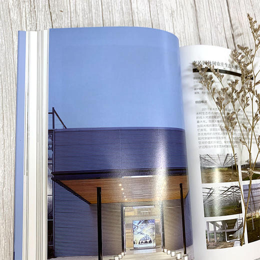 建筑师的乡村设计 乡村建筑保护与改造 南雪倩 乡村振兴书籍 乡村建筑发展历史现状及改造策略 乡村建筑改造休闲农庄生态园建设书 商品图5