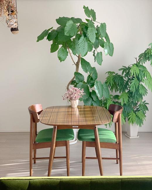 karimoku60tchairŲμײӽʵľҾ