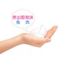 日本进口狮王狗狗猫咪清洁免洗洁足泡沫250ml！安全不怕舔 商品缩略图3
