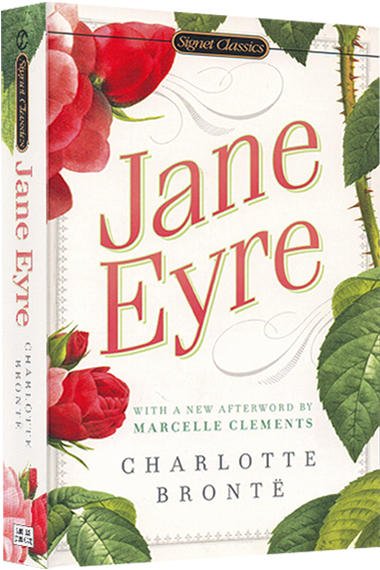 进口原版小说 jane eyre 英文版 简爱 charlotte bront 夏洛蒂勃朗特