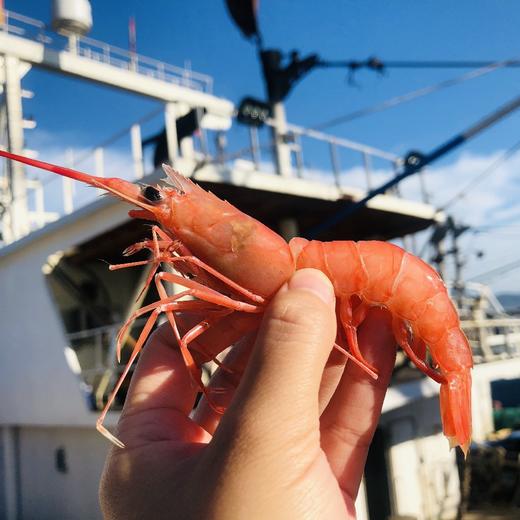 舟山野生红虾古称赤虾 4斤装（每斤约25-30只）乡镇不发，今天开始至20号，只发江浙沪地区 商品图5