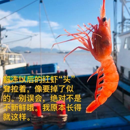 舟山野生红虾古称赤虾 4斤装（每斤约25-30只）乡镇不发，今天开始至20号，只发江浙沪地区 商品图2