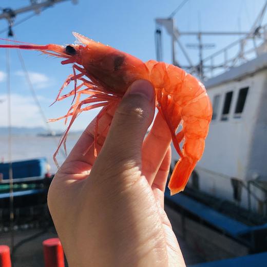 舟山野生红虾古称赤虾 4斤装（每斤约25-30只）乡镇不发，今天开始至20号，只发江浙沪地区 商品图4