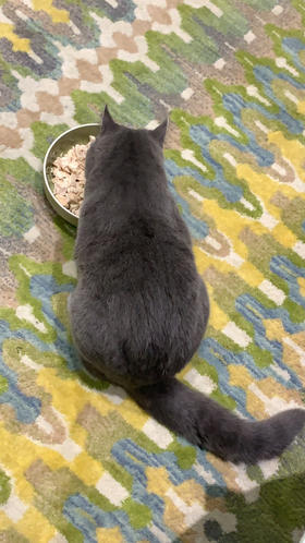 测试供货小爱1-爱逛供货