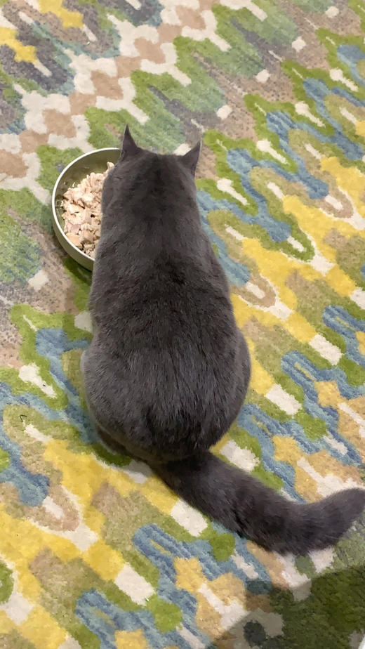 测试供货小爱1-爱逛供货 商品图0