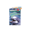 英文原版I Can Read Level 2: Amazing Dolphins!少儿认知启蒙书 商品缩略图0