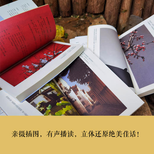 《纸短情长》有声全解本| 获文学大家 林语堂 盛赞的“美学经典”初度集结，国文热销黑马作品 商品图2