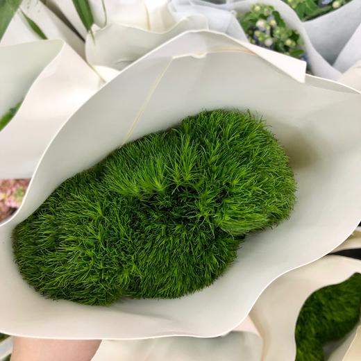 国产花材-【绿毛球】 商品图2
