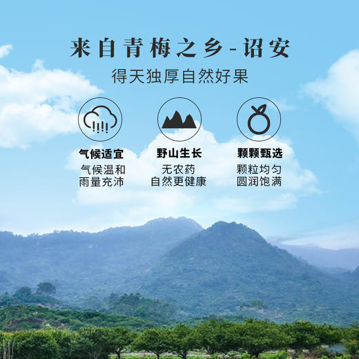 【云惜严选】原味梅片 无添加 酸甜可口，好吃得停不下来！ 孕妇儿童办公解腻零食 商品图3