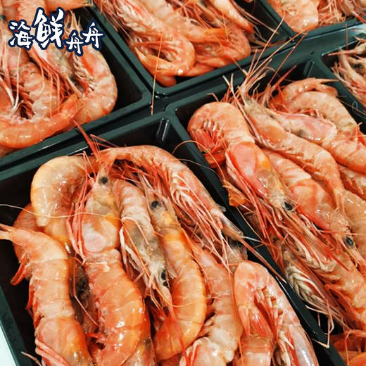 【野生】超低温 东海红虾（船活冻）500g/盒 商品图2