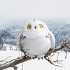 博物文创|圆宝 雪鸮 白色动物猫头鹰毛绒可爱女生睡觉 商品缩略图2