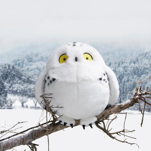 博物文创|圆宝 雪鸮 白色动物猫头鹰毛绒可爱女生睡觉 商品图2