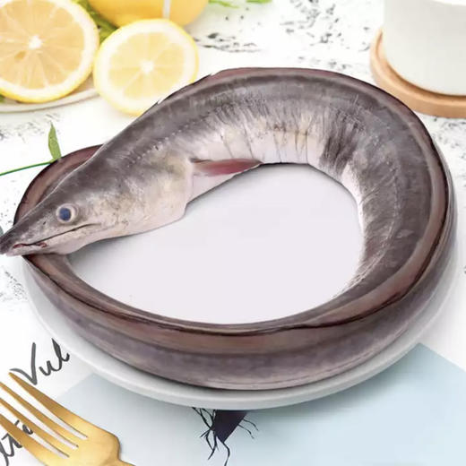 不缺鱼允上优品1588礼盒 - 源鱼生活