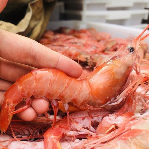 舟山野生红虾古称赤虾 4斤装（每斤约25-30只）乡镇不发，今天开始至20号，只发江浙沪地区 商品图0