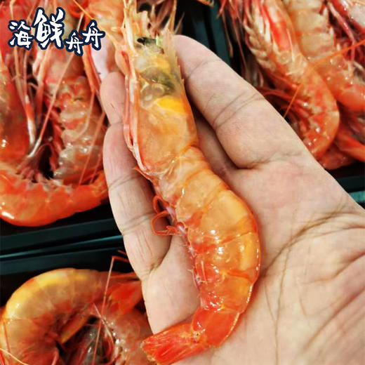 【野生】超低温 东海红虾（船活冻）500g/盒 商品图1
