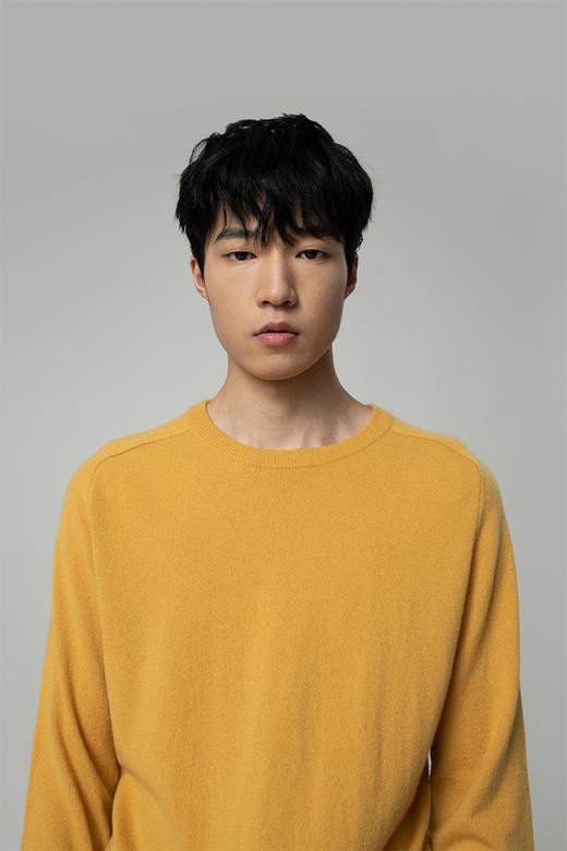 2020经典款纯山羊绒男士马鞍袖圆领套头衫 商品图0