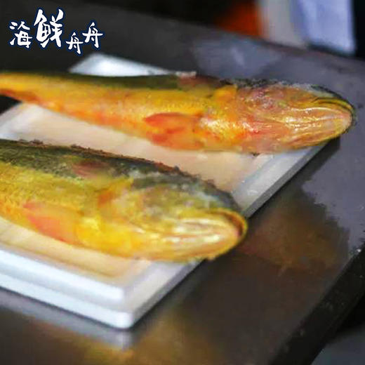 大陈岛黄鱼 商品图4