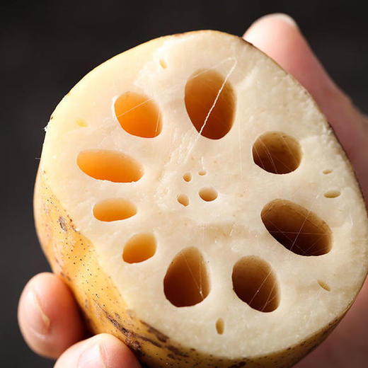 【河南 范县莲藕】 嫩白爽脆藕肉厚实 清炒脆 凉拌香 熬汤糯 甘甜拉丝