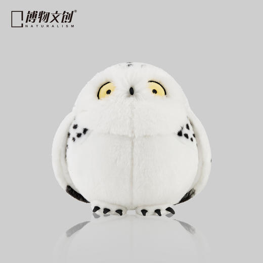 博物文创|圆宝 雪鸮 白色动物猫头鹰毛绒可爱女生睡觉 商品图1