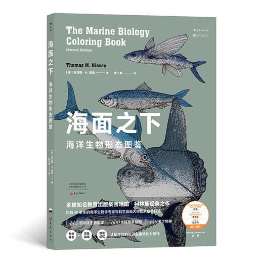 海面之下：海洋生物形态图鉴 海洋生物形态图鉴经典之作 自然科普涂色书 海洋生物知识普及读物 商品图0