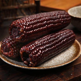 北优天赐 东北黑色甜糯玉米 黑土地滋养种植 颗颗饱满 口感甜糯