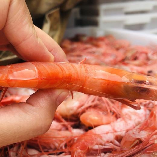 舟山野生红虾古称赤虾 4斤装（每斤约25-30只）乡镇不发，今天开始至20号，只发江浙沪地区 商品图1