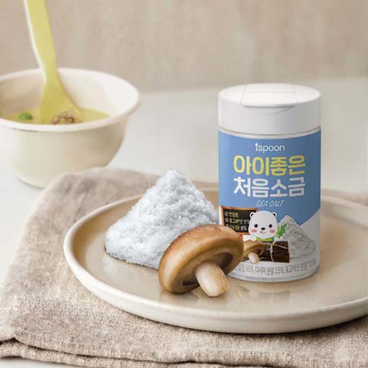 艾斯纷调味盐 韩国原装进口儿童用调味品 宝宝专用调味 商品图1
