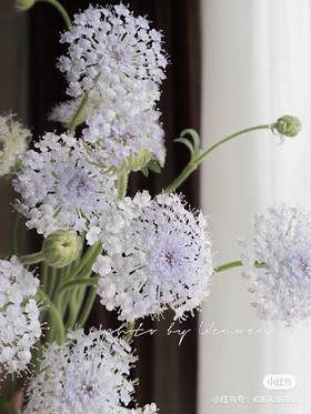 国产花材-【翠珠】