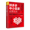 拼多多中小卖家运营实战：店铺设计+数据分析+推广方法+客服技巧  商品缩略图0