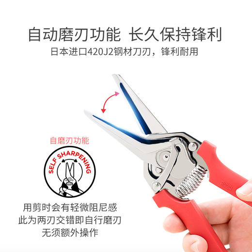 瑞士力康厨房鸡骨剪骨头剪刀 商品图3