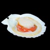 9/10原壳大扇贝850克 商品缩略图4