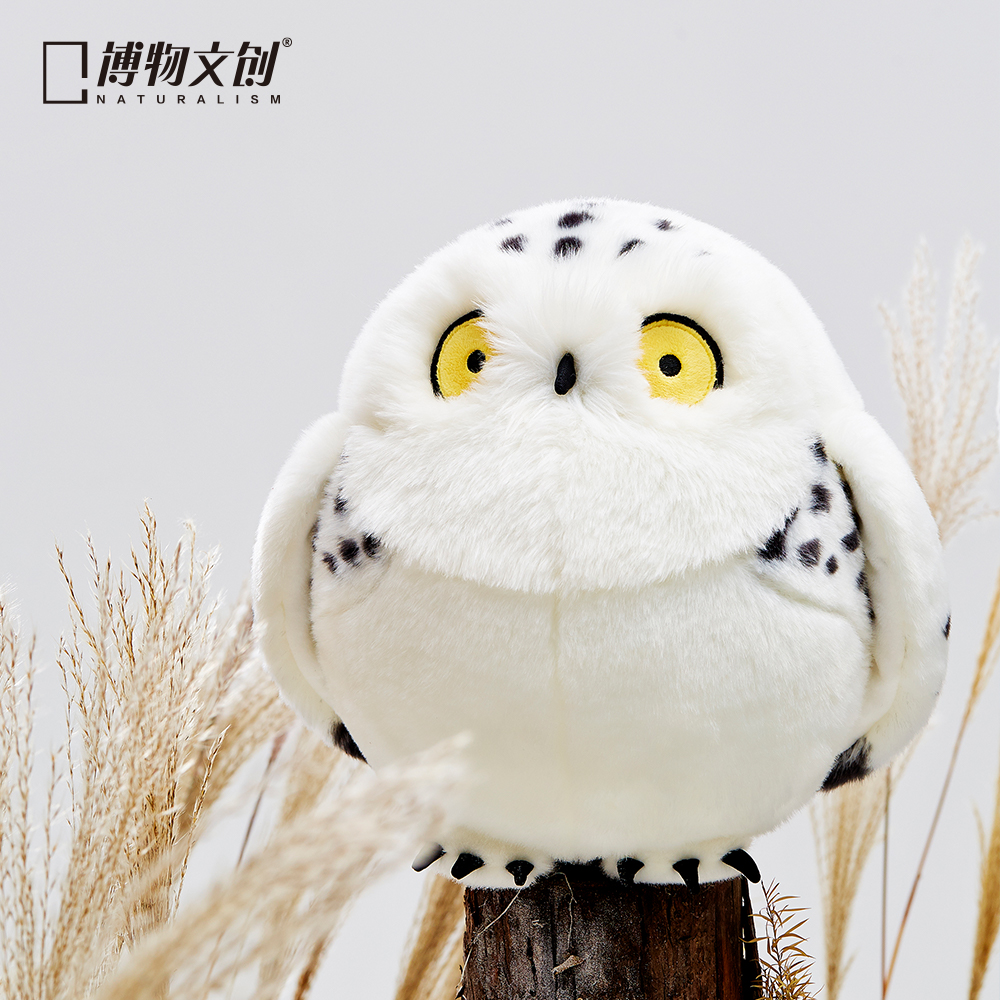 博物文创|圆宝 雪鸮 白色动物猫头鹰毛绒可爱女生睡觉